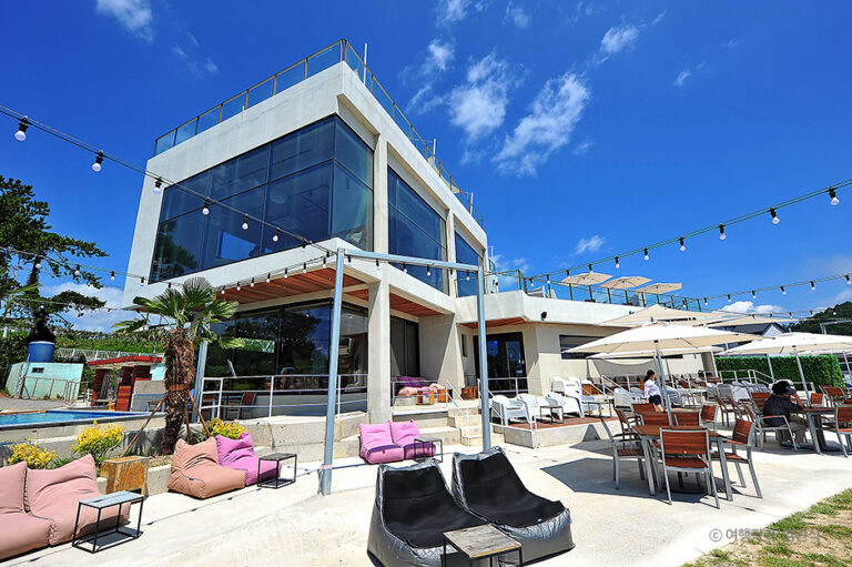 [울산] 호피폴라