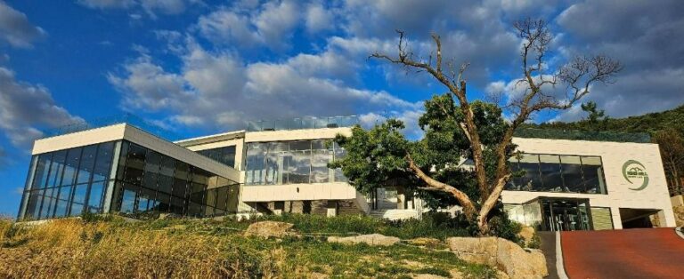 [울산] 나인힐 베이커리 카페