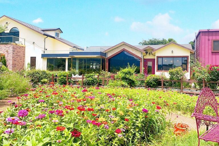 [울산] 이안에들꽃