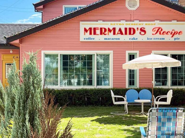 [경기] 머메이드레시피