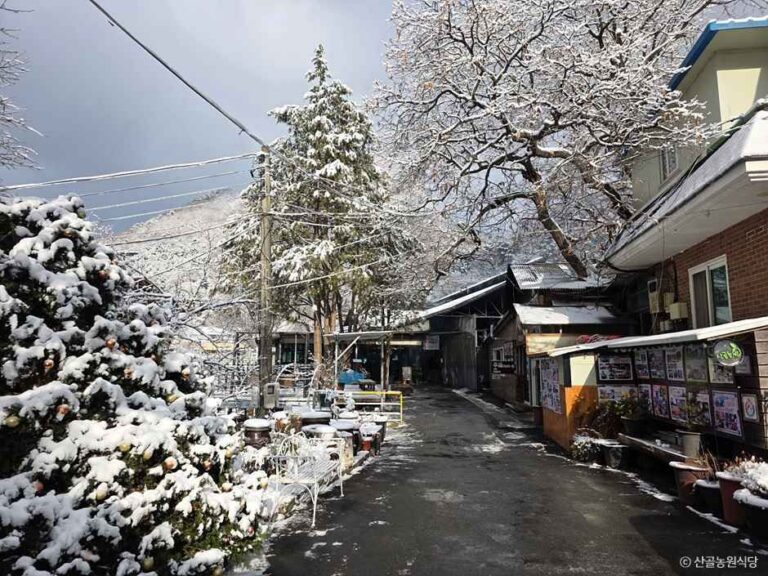 [경기] 산골농원식당