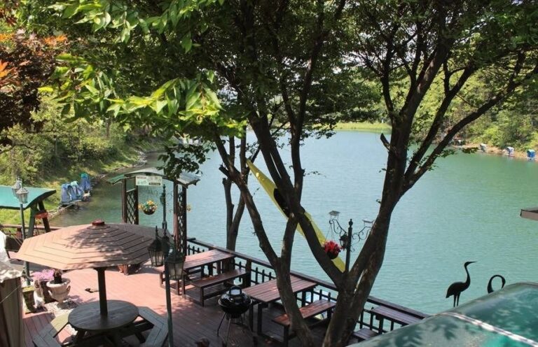 [경기] 여우사이