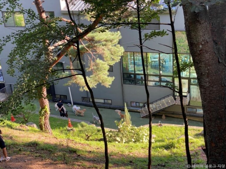 [경기] 푼타하우스