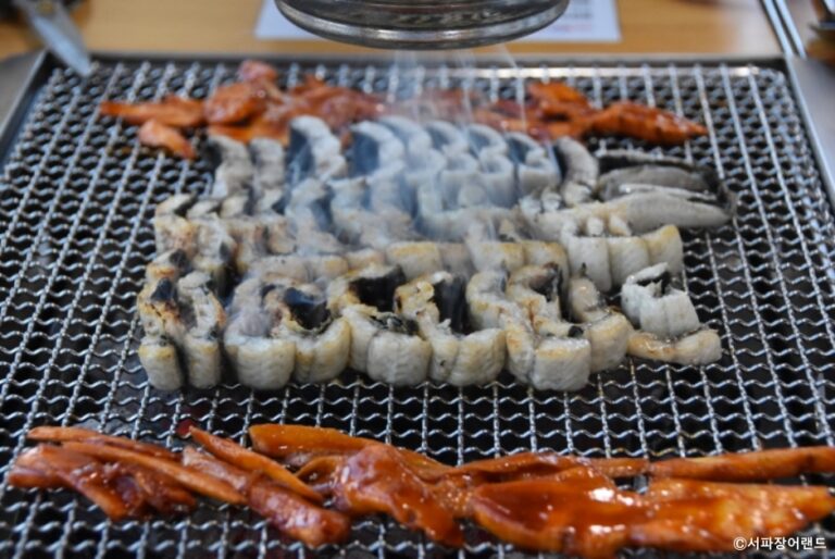 [경기] 서파장어랜드