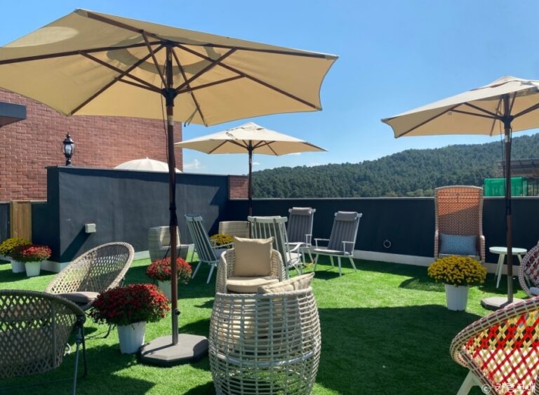 [경기] 카랑코에