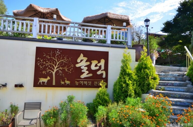 [경기] 솔덕 돌곶이점