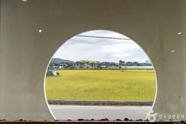 [경기] 카페진리