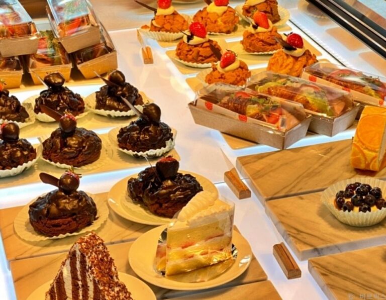 [경기] 비브릭스