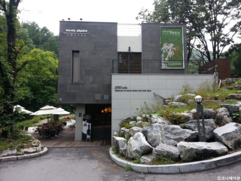 [경기] 코나헤이븐