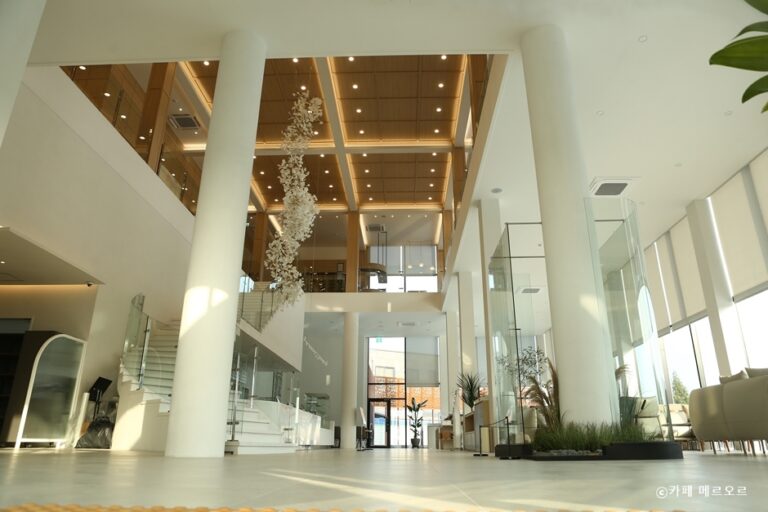 [경기] 메르오르