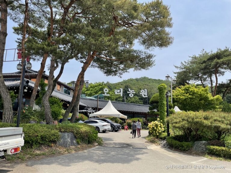 [경기] 세마오리농원