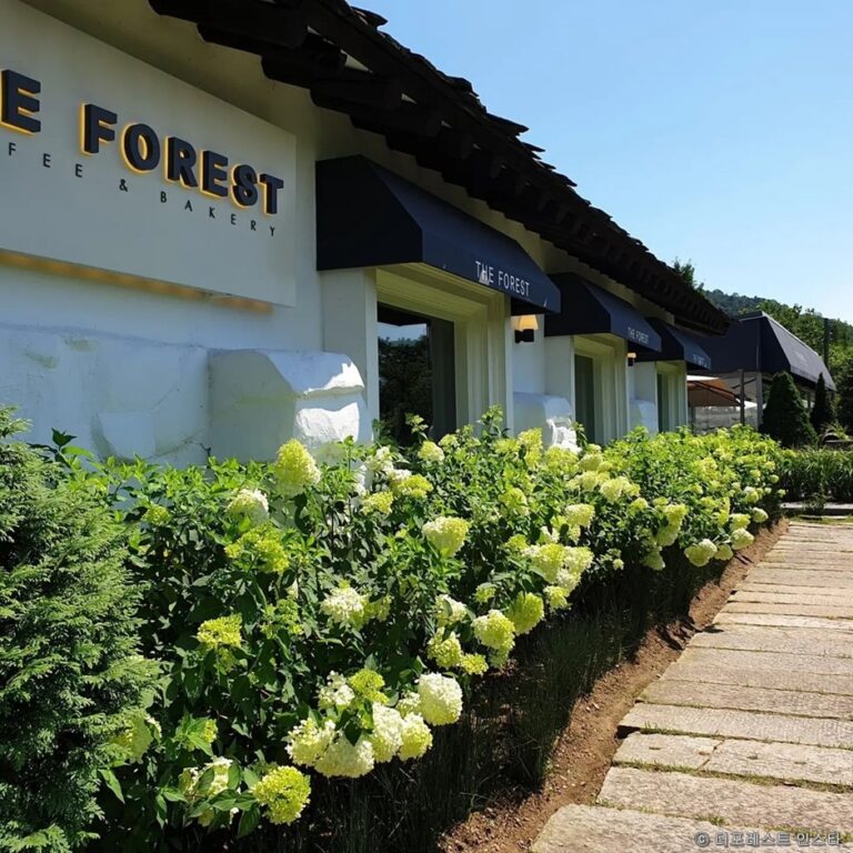 [경기] 더포레스트카페