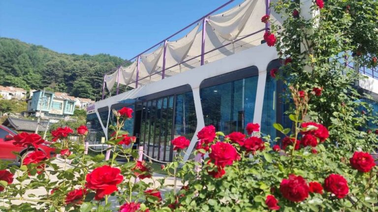 [경기] 자카란다