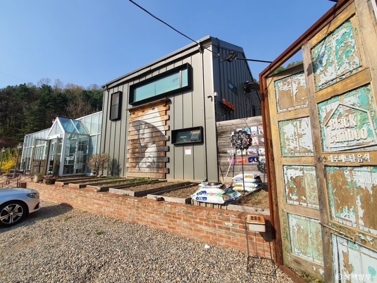 [경기] 블랙밤부