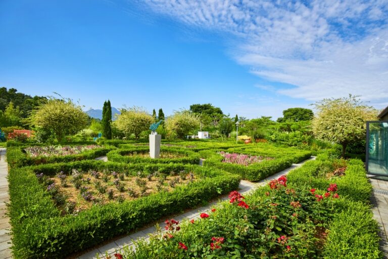 [경기] 그린망고