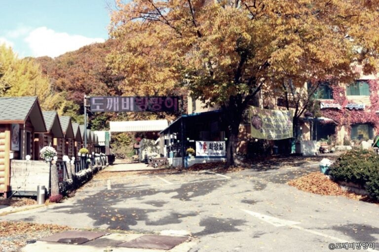 [경기] 장흥도깨비방망이