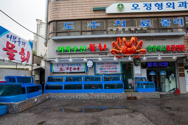 [경기] 여자수산