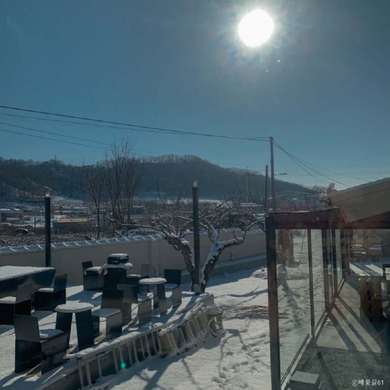 [경기] 배꽃길61