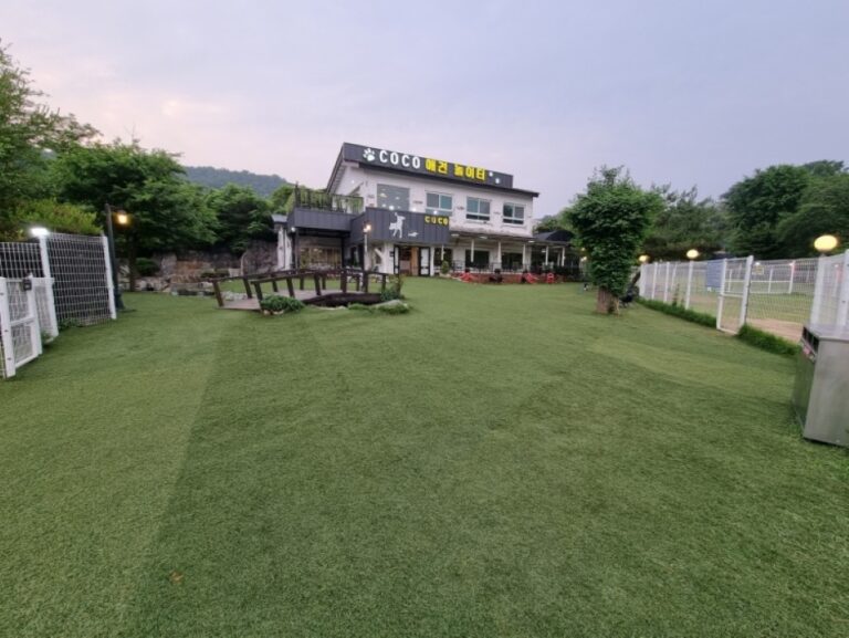 [경기] 코코애견카페