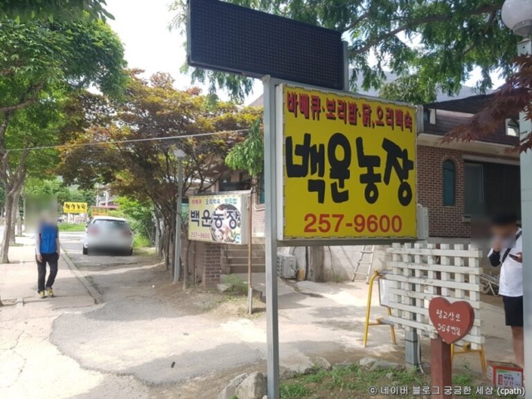 [경기] 백운주말농장