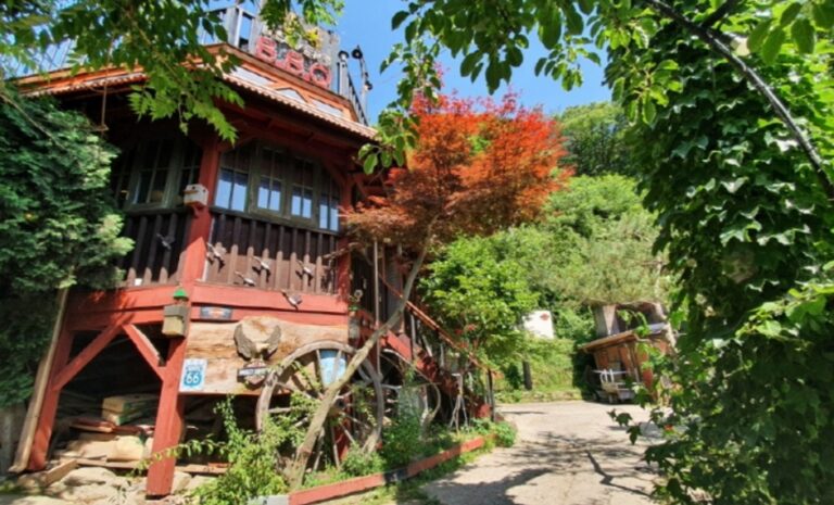 [경기] 산속비버스