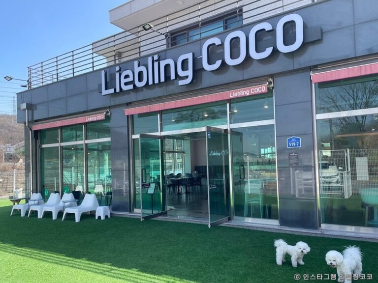 [경기] 리블링코코