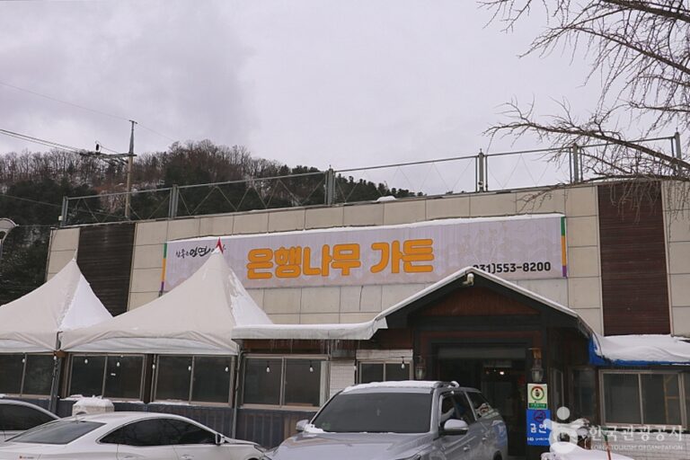 [경기] 은행나무가든