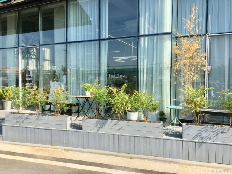 [경기] 빈플레이버