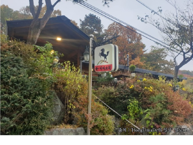 [경기] 애마오리본점