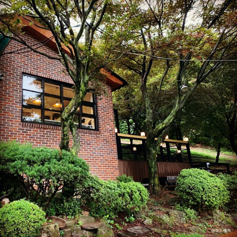 [경기] 우드페커