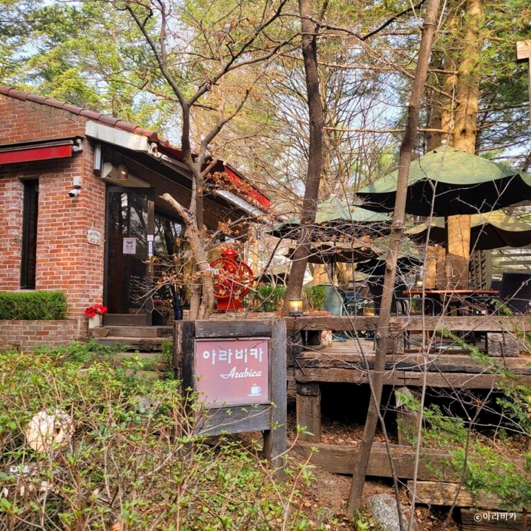 [경기] 아라비카