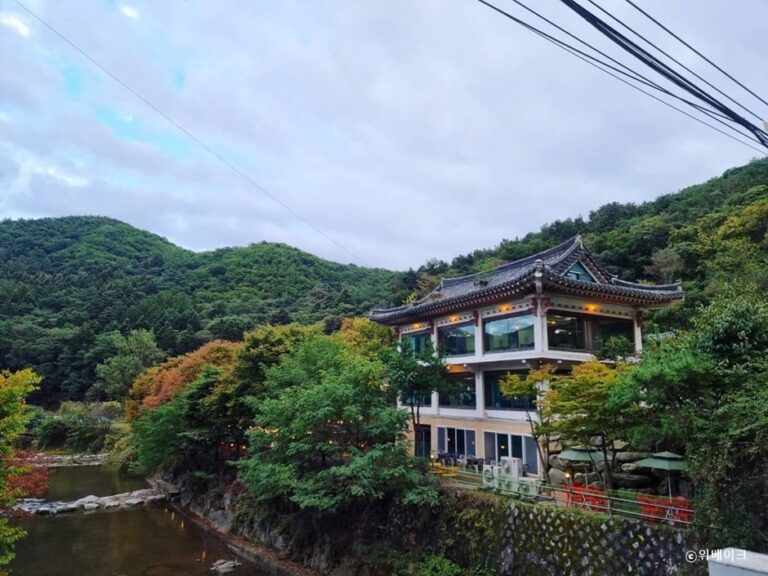 [경기] 위베이크