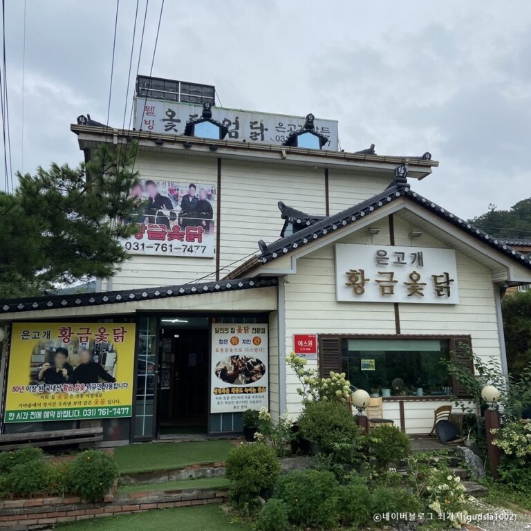 [경기] 은고개황금옻닭