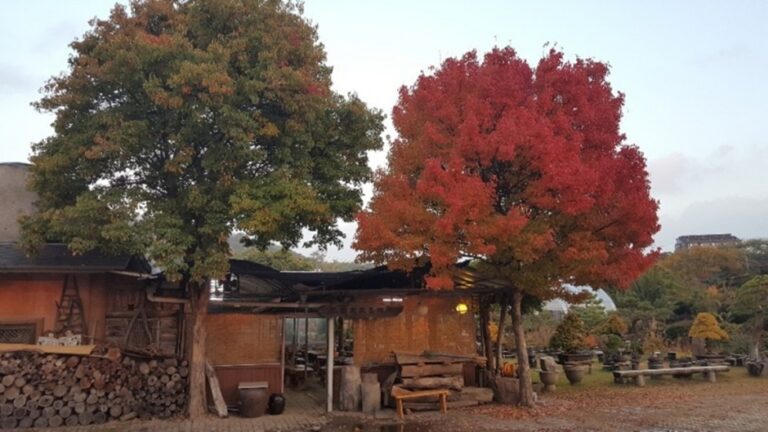 [경기] 화전분재예술원
