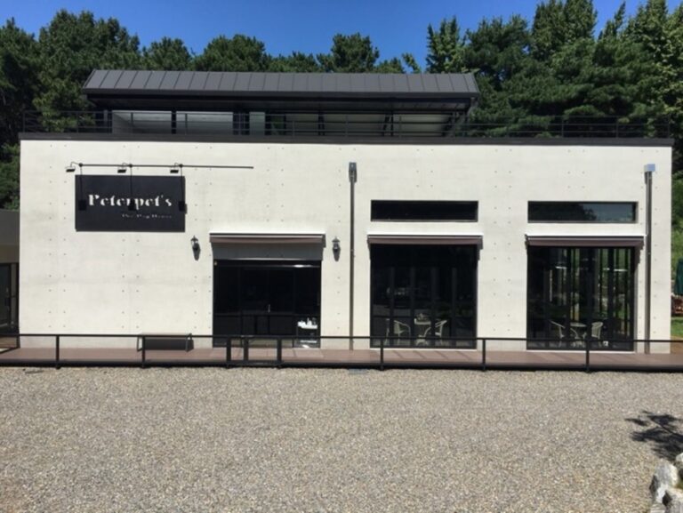 [경기] 피터팻츠