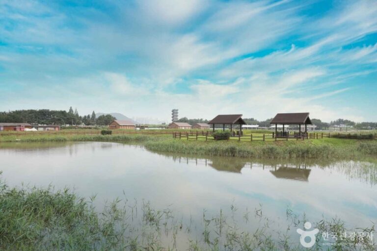 [경기] 시흥 갯골생태공원