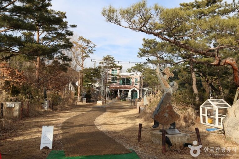 [경기] 포시즌어데이