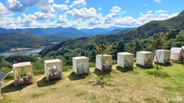 [경기] 라틴정원