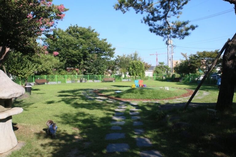 [경기] 샌드피피