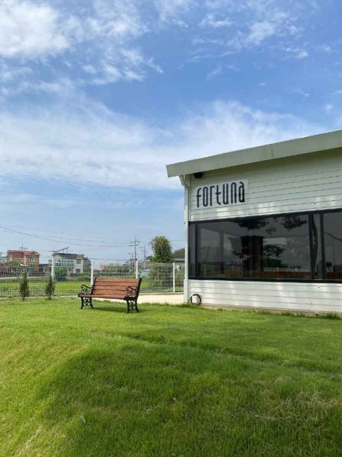 [경기] 포르투나