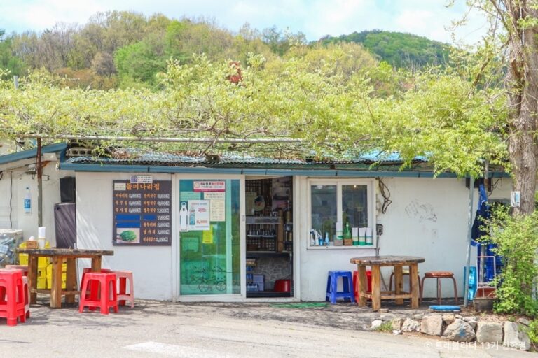 [경기] 돌미나리집