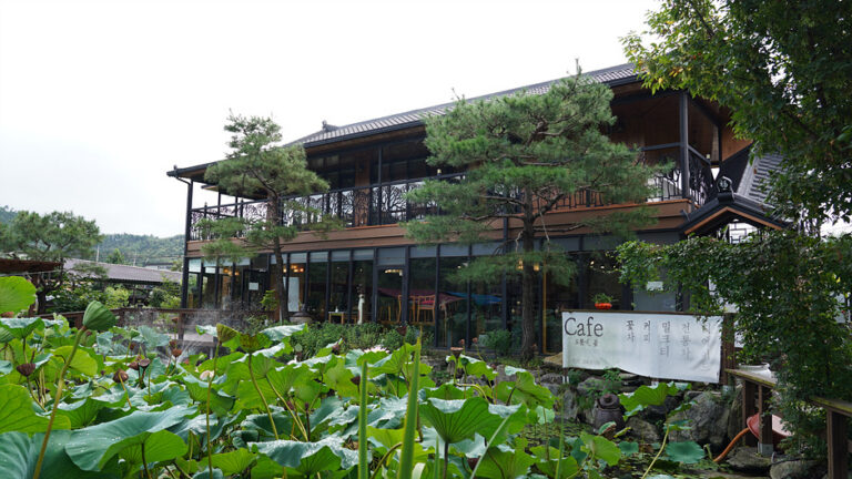 [경기] 오롯이꽃