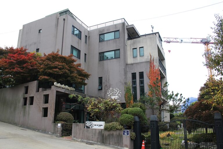 [경기] 카페드노피