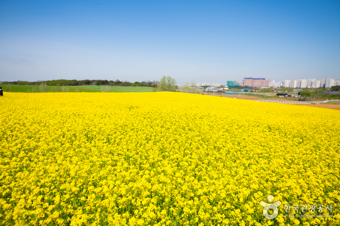 [경기] 안성팜랜드