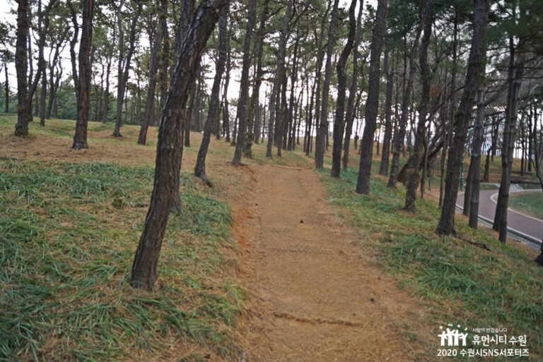 [경기] 수원올림픽공원