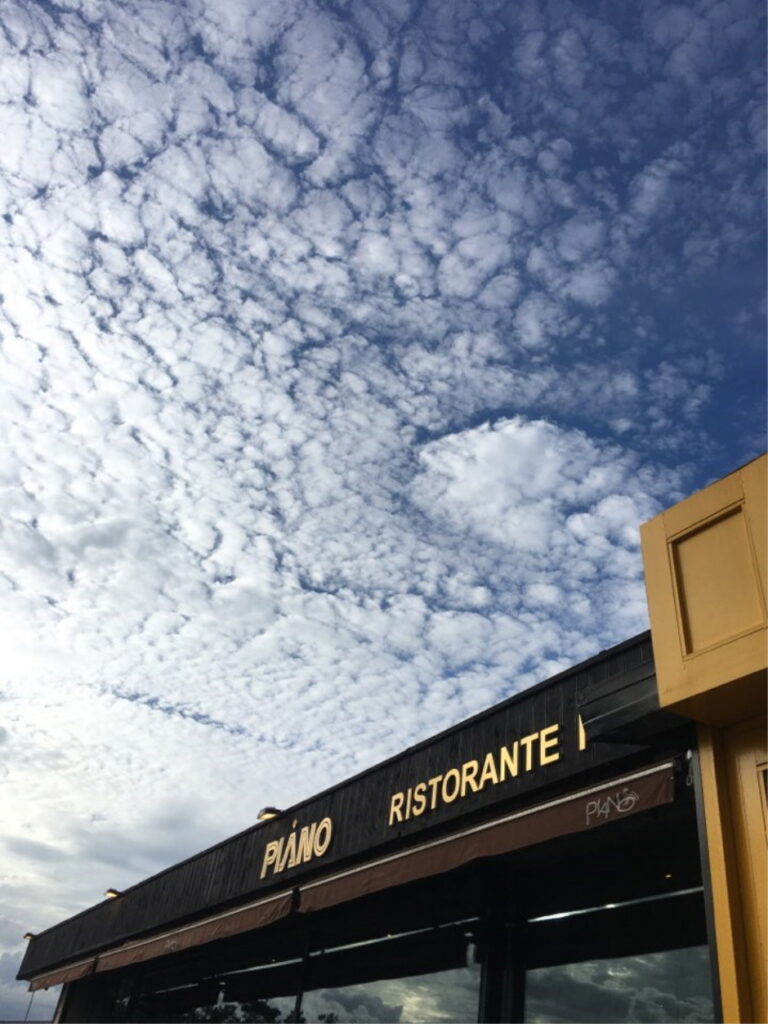 [강원] 피아노레스토랑