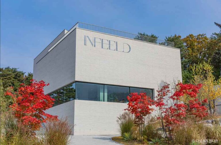 [강원] 인필드(INFEELD)