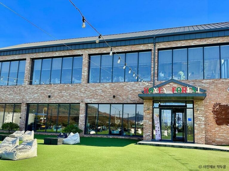 [강원] 허니포레스트