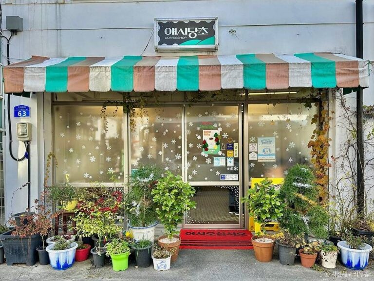 [강원] 애시당초