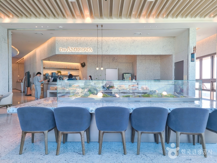 [강원] 소노펠리체 델피노 더 엠브로시아